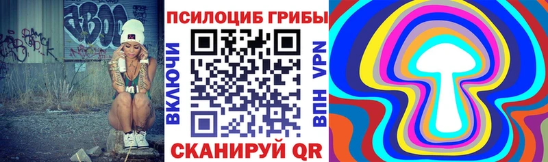 МЕГА ссылки  Можайск  Галлюциногенные грибы прущие грибы 